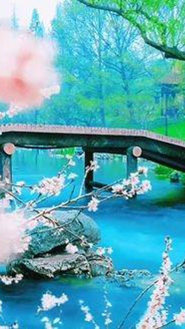 领导力非凡，这3大生肖生来就有领袖气质，你是其中之一吗？